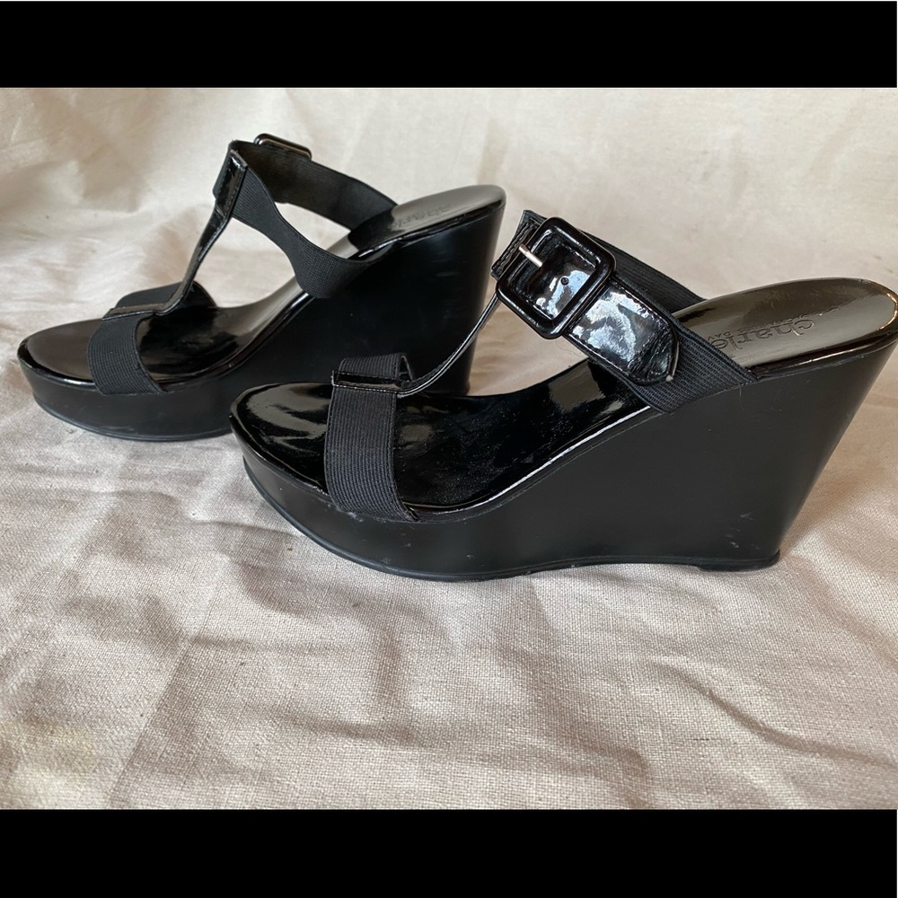 Charles David Wedge